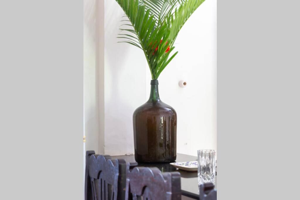 Villa Barbosa, 2 Bhk Villa & Luxury Rooms Near Colva, Sernabatim, Benaulim Beach Exteriör bild
